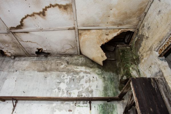 Water Damage Service in Lake Orion