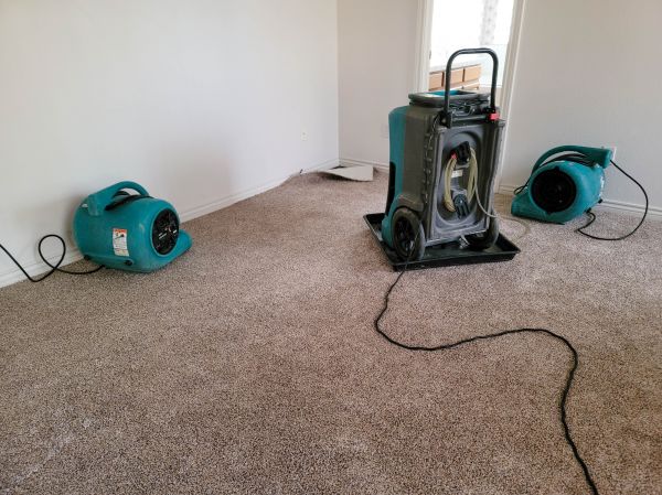 Flood Damage Repair in Lake Orion