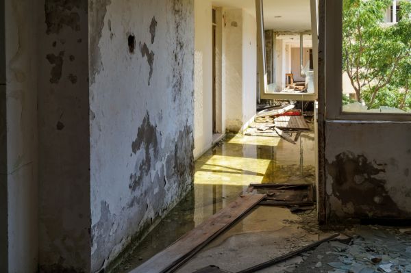 Water Removal Service in Lake Orion