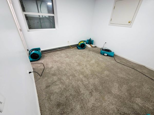 Flood Restoration Service in Lake Orion