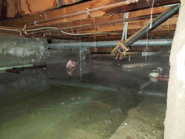 Water Mitigation Service in Lake Orion